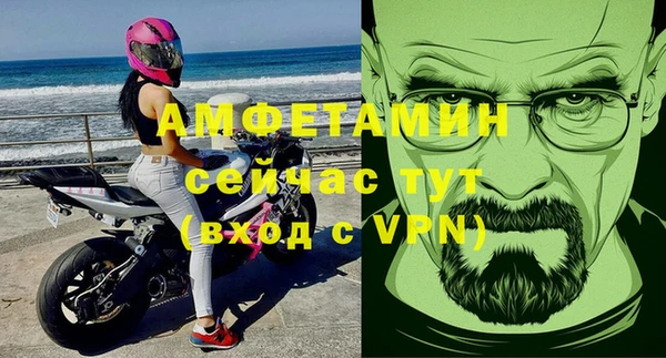 индика Семикаракорск