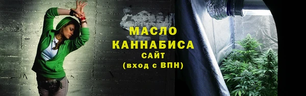 индика Семикаракорск
