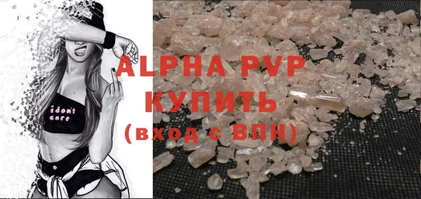 индика Семикаракорск