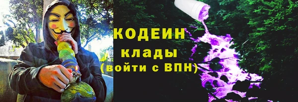 шишки Семёнов