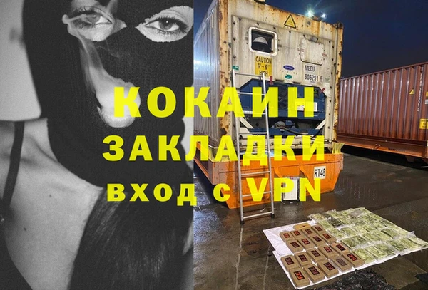 шишки Семёнов