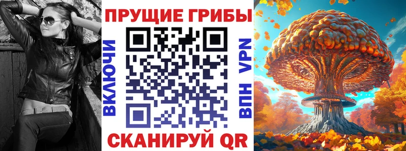 Галлюциногенные грибы Psilocybe  mega как зайти  Снежногорск  где найти  